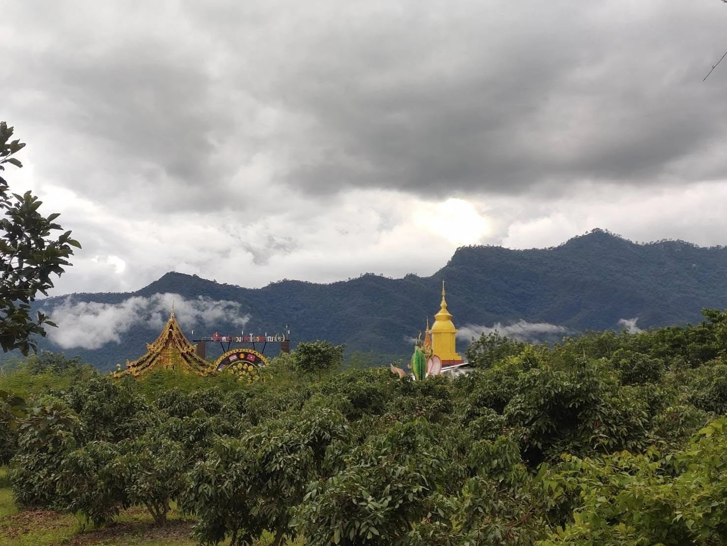 ธรรมชาติร่มรื่น